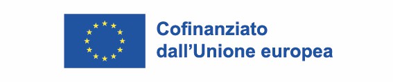 EU Logo